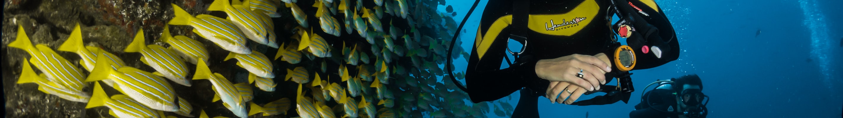 实时GPS活动追踪地图展示 - 探险队当前行进路线